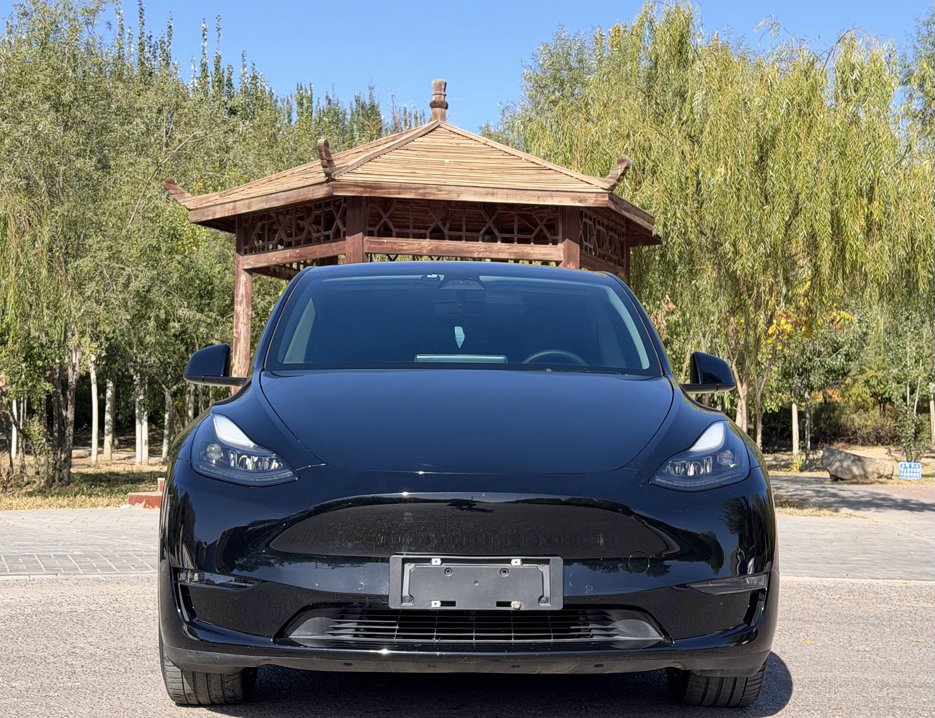 Tesla Model Y 2021 car image #2