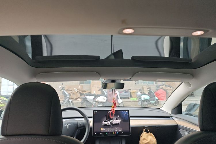 Tesla Model 3 2022 car image #20