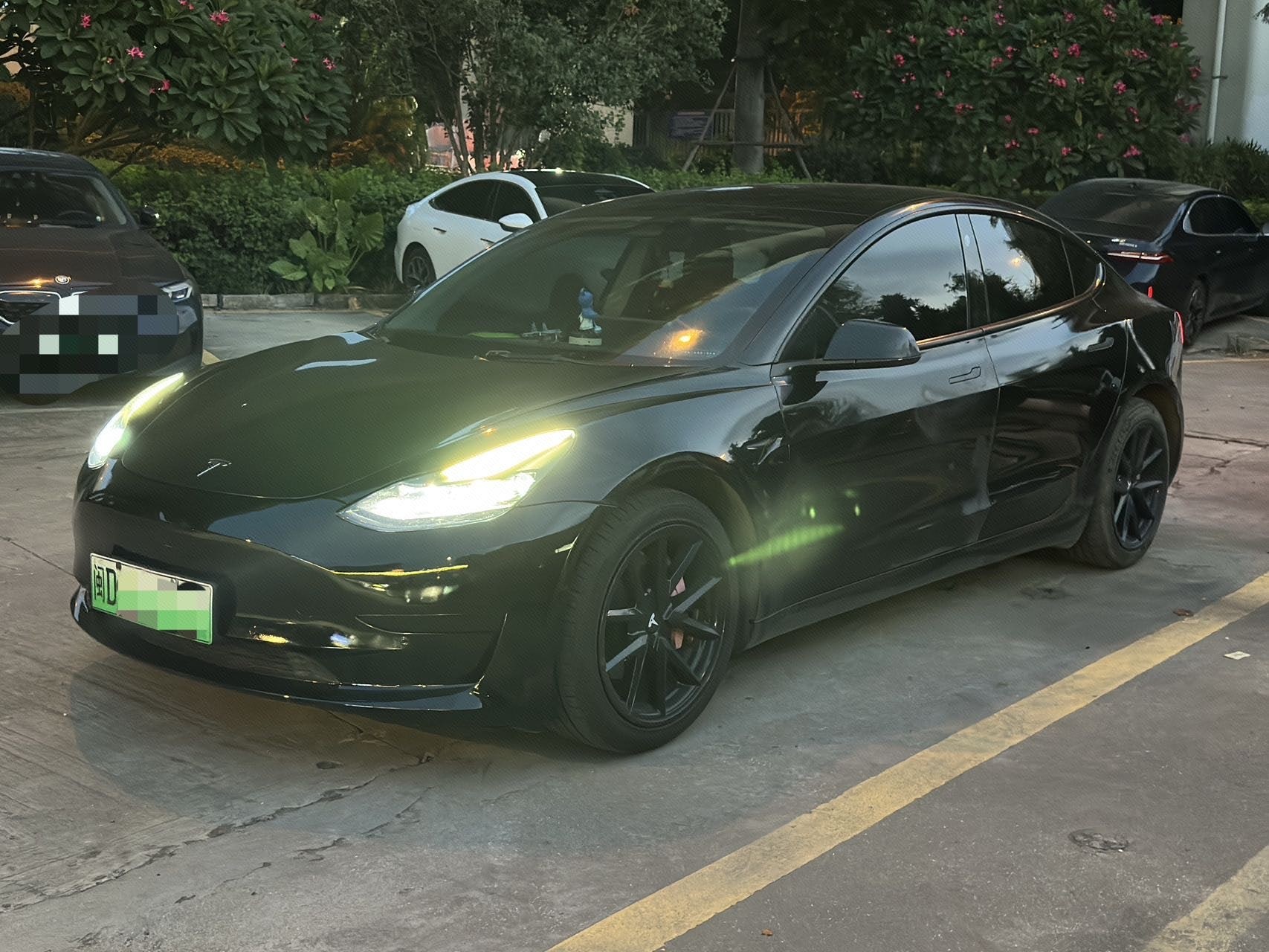 Tesla Model 3 2022 Tesla Model 3 2022 car image