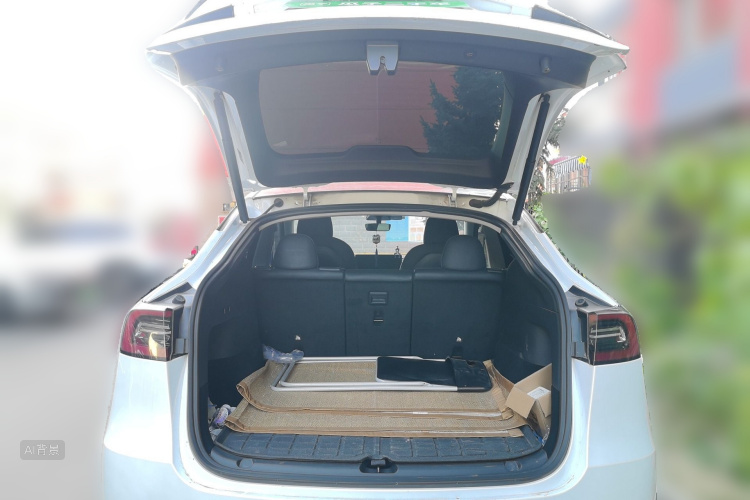 Tesla Model Y 2021 car image #21