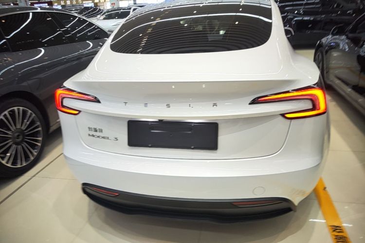 Tesla Model 3 2025 immagine di auto #6