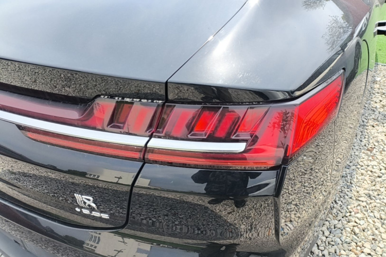 BYD Han 2022 #8 BYD Han 2022 immagine di auto #8