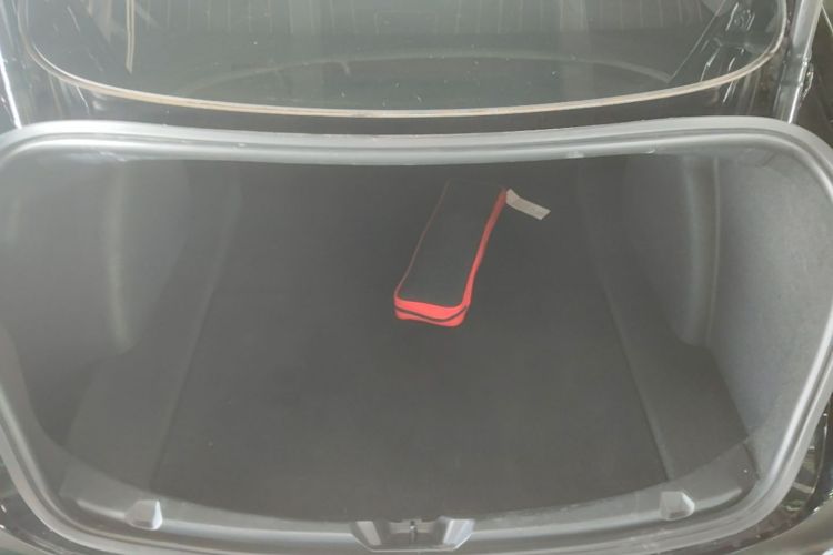 Tesla Model 3 2020 car image #19