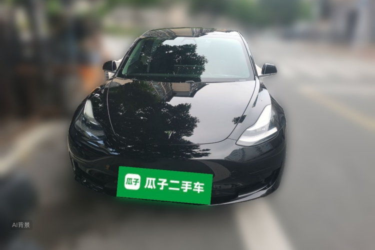 Tesla Model 3 2020 car image #3