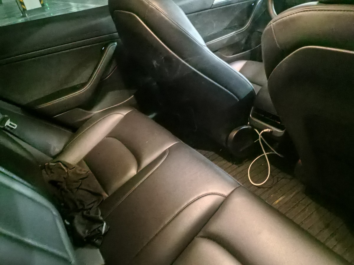 Tesla Model 3 2021 immagine di auto #2