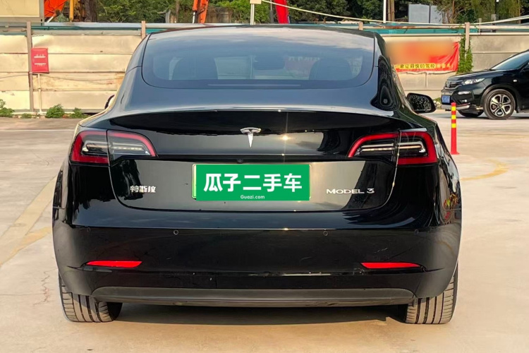 Tesla Model 3 2021 car image #6