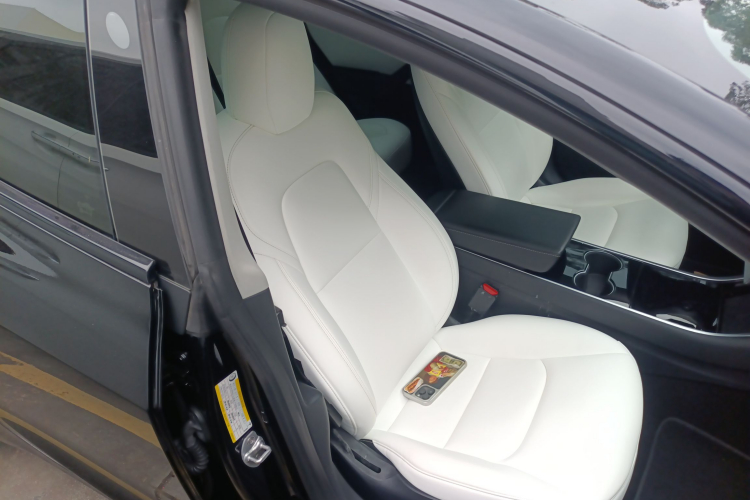 Tesla Model 3 2020 car image #24