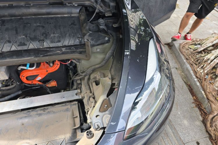 Tesla Model Y 2024 car image #23