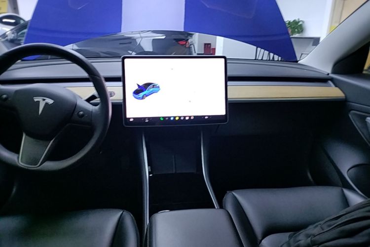 Tesla Model 3 2020 car image #13