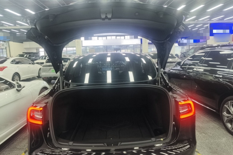 Tesla Model 3 2021 #21 Tesla Model 3 2021 car image #21