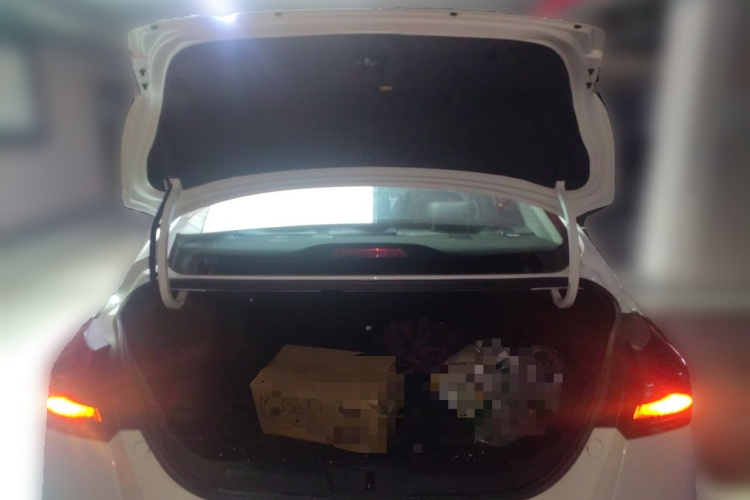 GEELY Emgrand 2020 car image #17