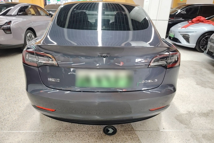 Tesla Model 3 2020 car image #6