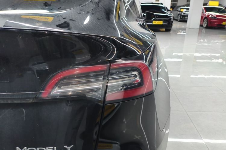 Tesla Model Y 2021 #8 Tesla Model Y 2021 car image #8