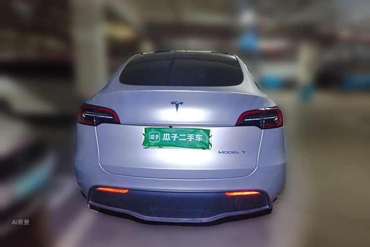 Tesla Model Y 2021 car image #6