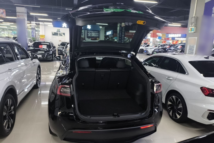 Tesla Model Y 2022 car image #19