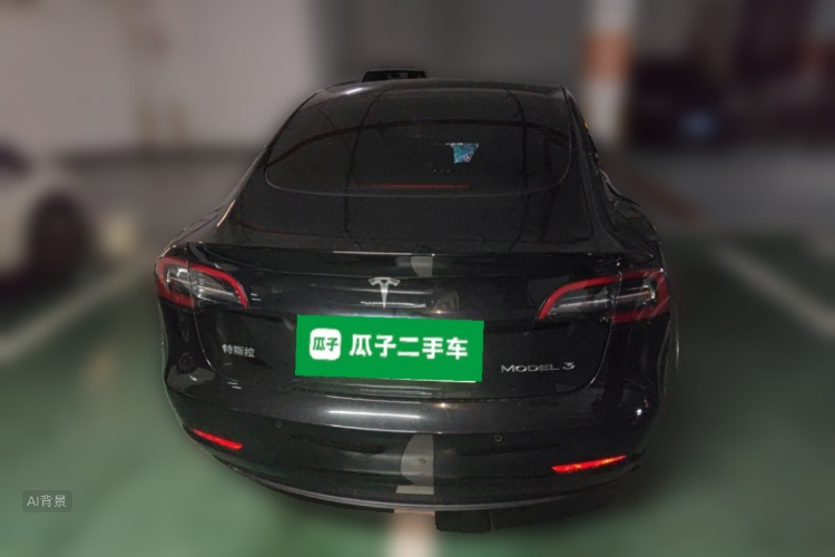 Tesla Model 3 2021 car image #6