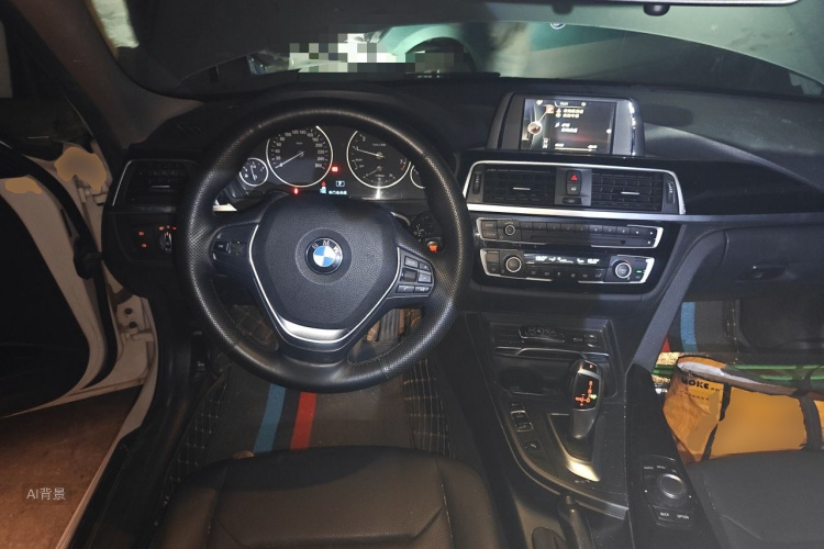 BMW 3 Series 2017 car image #12