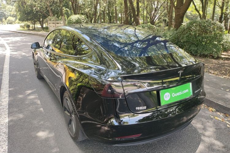 Tesla Model 3 2023 #5 Tesla Model 3 2023 car image #5