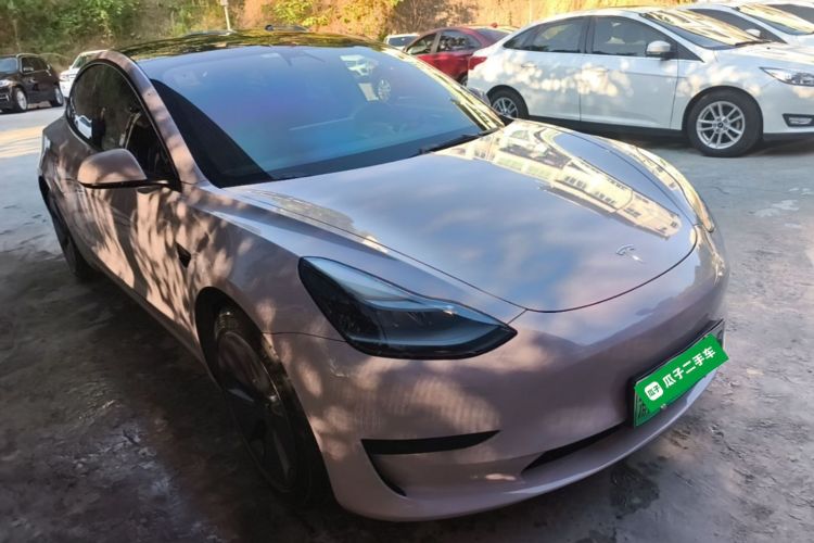 Tesla Model 3 2021 car image #4