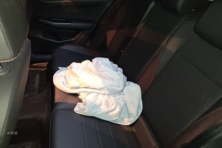 Volkswagen Bora 2020 #19 Volkswagen Bora 2020 immagine di auto #19