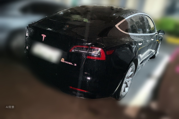 Tesla Model 3 2020 car image #7