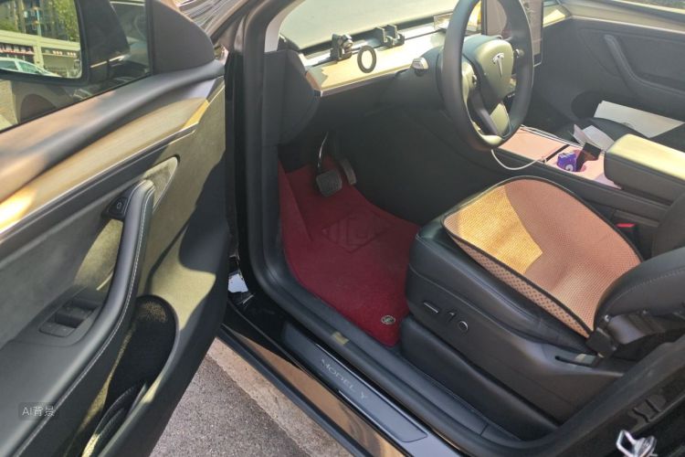 Tesla Model Y 2023 imagem de carro #18