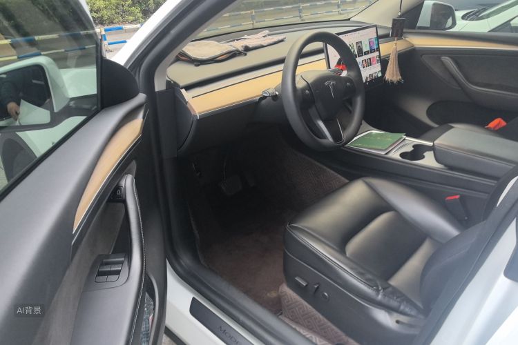 Tesla Model Y 2021 car image #18