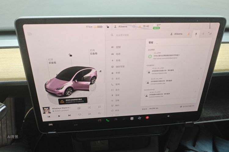 Tesla Model Y 2022 car image #15