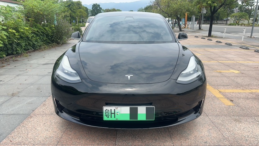 Tesla Model 3 2020 car image #2