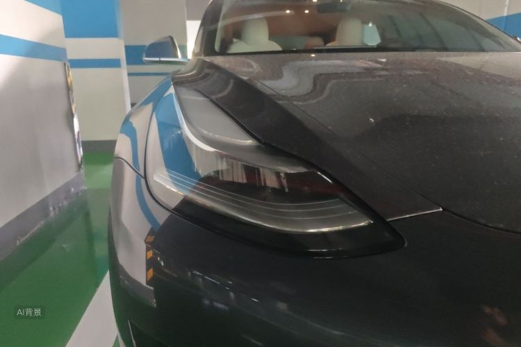Tesla Model 3 2020 immagine di auto #8
