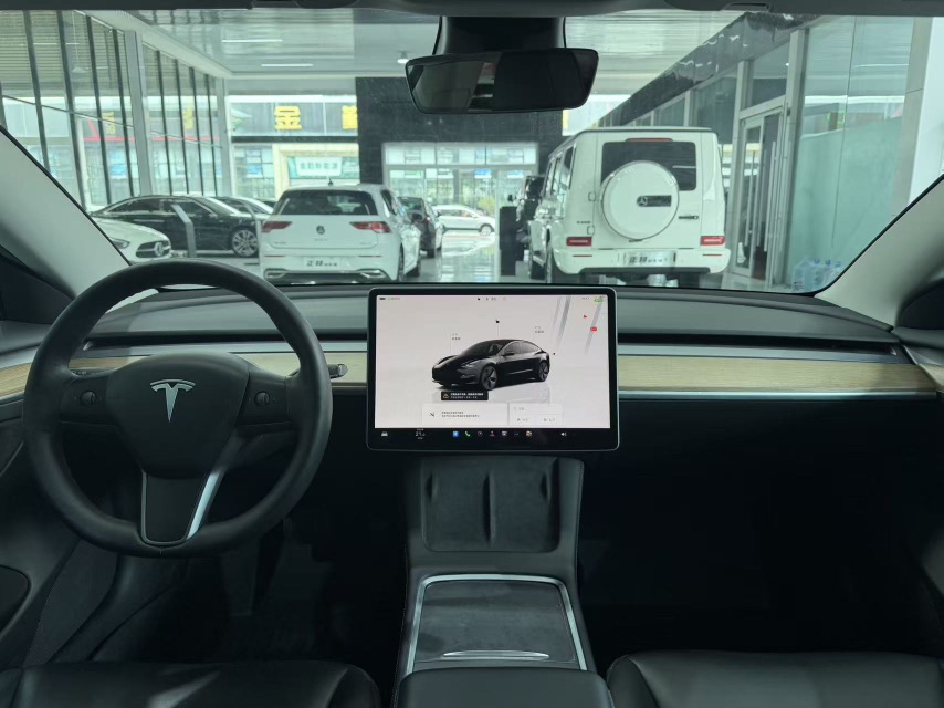 Tesla Model 3 2022 car image #8
