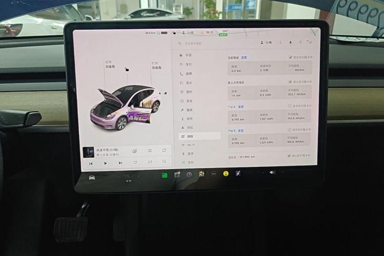 Tesla Model Y 2021 #13 Tesla Model Y 2021 immagine di auto #13