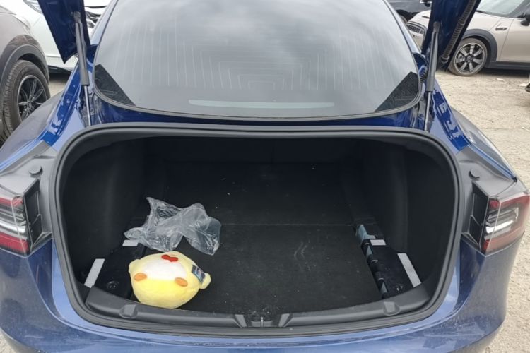 Tesla Model 3 2020 car image #21