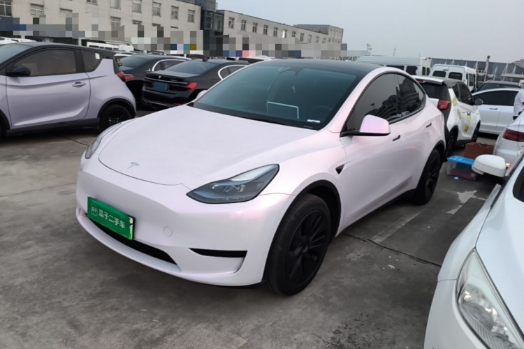 Tesla Model Y 2024 immagine di auto #2