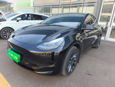 Tesla Model Y 2021 car image 