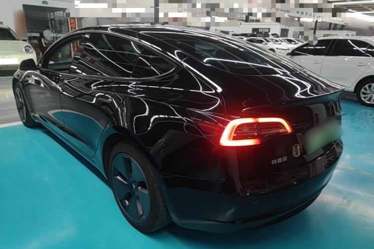 Tesla Model 3 2023 #7 Tesla Model 3 2023 car image #7