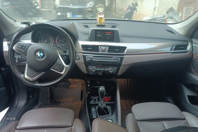 BMW X1 2018 car image #11