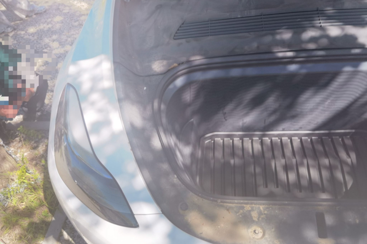 Tesla Model Y 2023 #22 Tesla Model Y 2023 car image #22