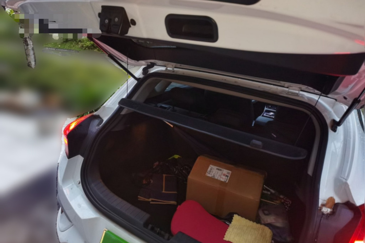 GEELY Emgrand GSe 2019 #21 GEELY Emgrand GSe 2019 immagine di auto #21