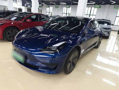 Tesla Model 3 2022 Tesla Model 3 2022 car image