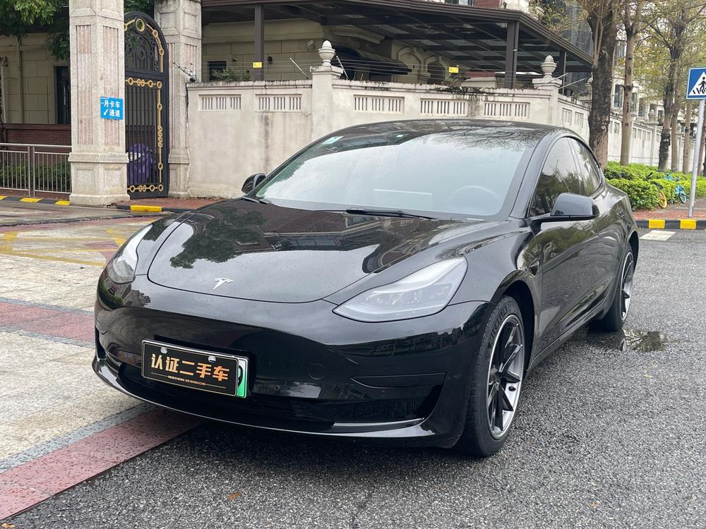 Tesla Model 3 2021 Tesla Model 3 2021 car image