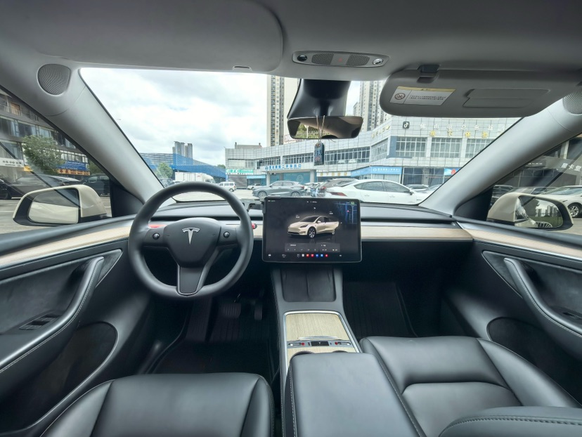 Tesla Model Y 2023 car image #6
