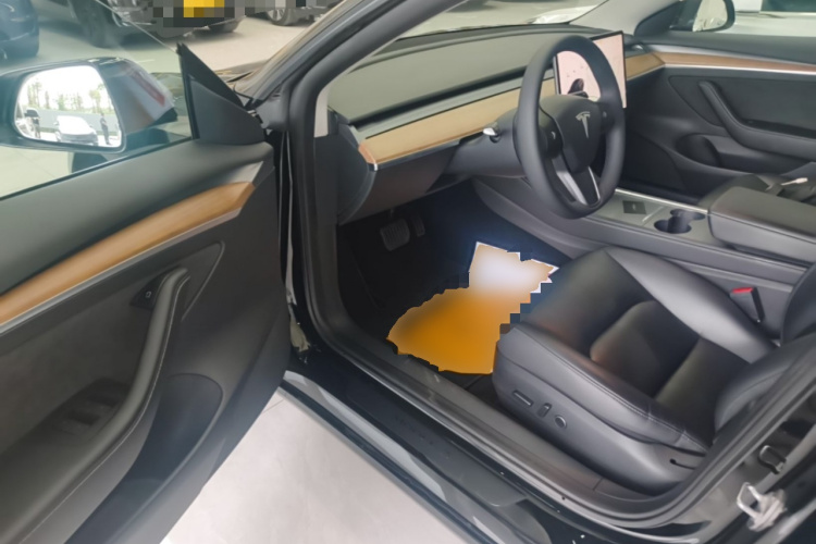 Tesla Model 3 2021 car image #16