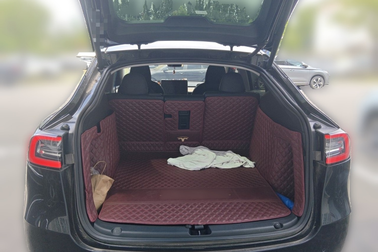 Tesla Model Y 2022 car image #21