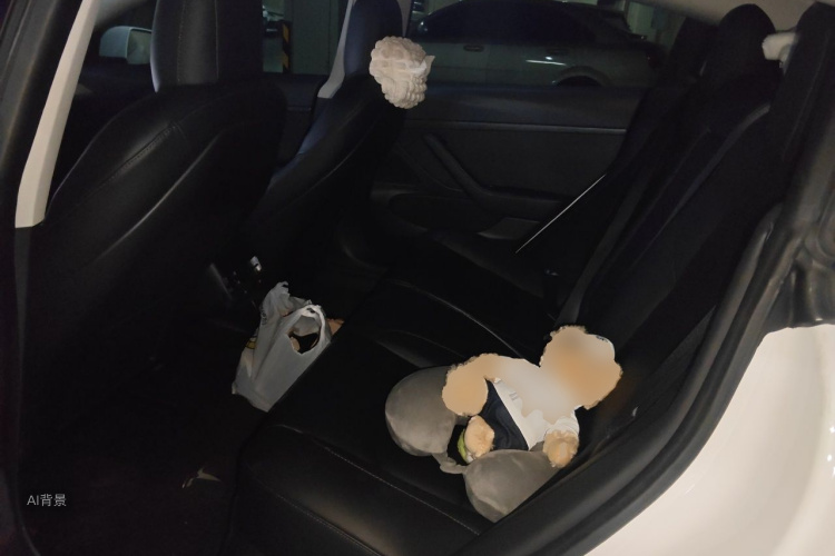 Tesla Model 3 2019 #19 Tesla Model 3 2019 car image #19