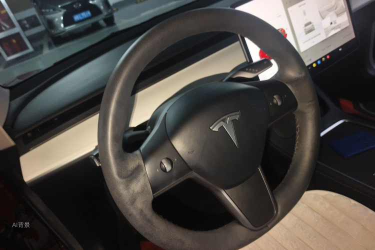 Tesla Model 3 2021 #12 Tesla Model 3 2021 car image #12