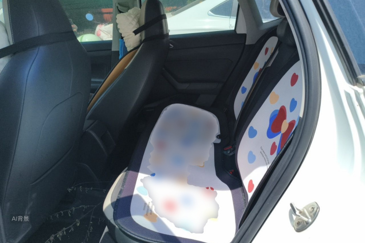 Volkswagen Polo 2019 car image #19