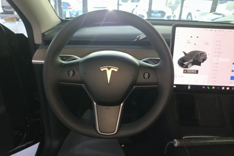 Tesla Model Y 2021 car image #15