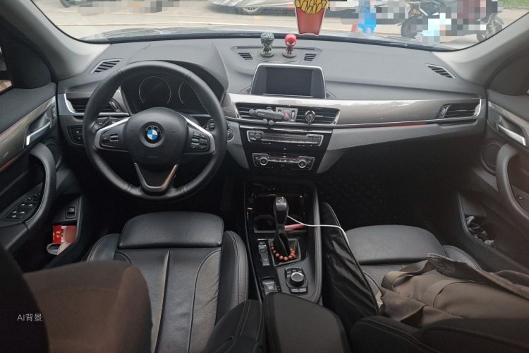 BMW X1 2019 car image #11
