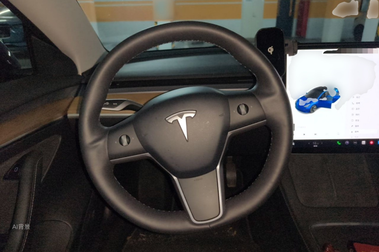 Tesla Model 3 2021 car image #12
